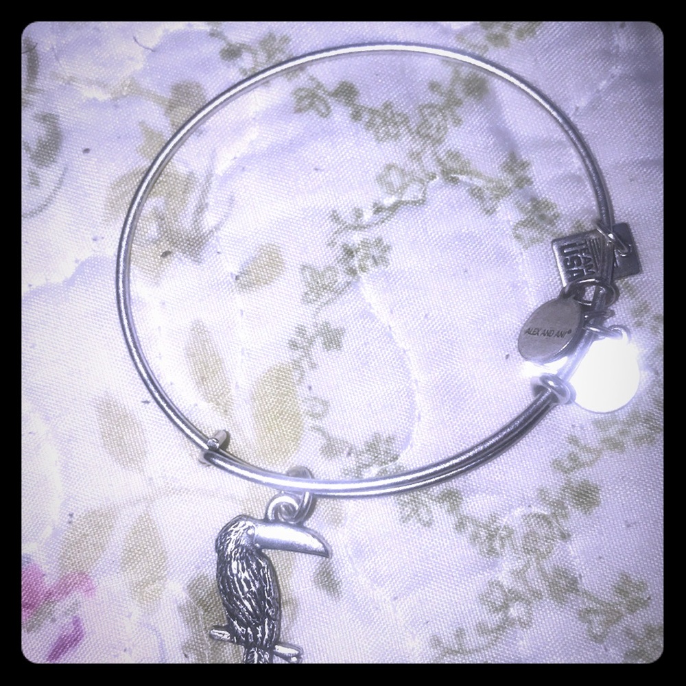 Alex and ani